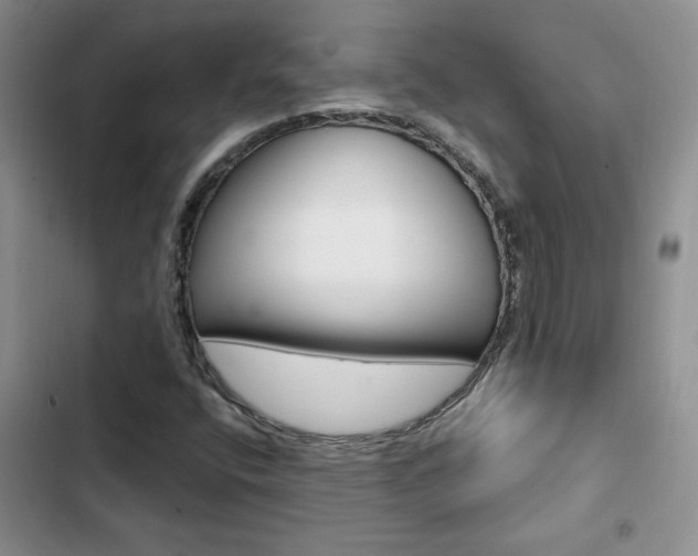 X0000102831400200808181038