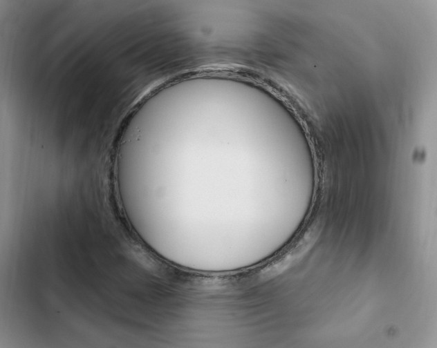 X0000102831401200808181038