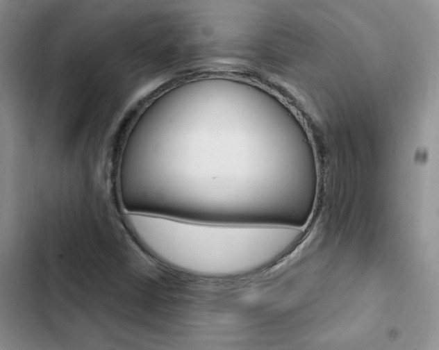 X0000102831402200808181038