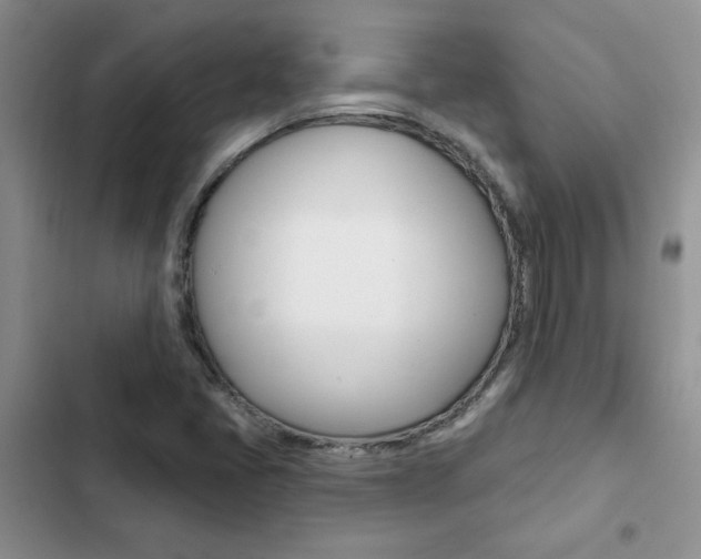 X0000102831405200808181038