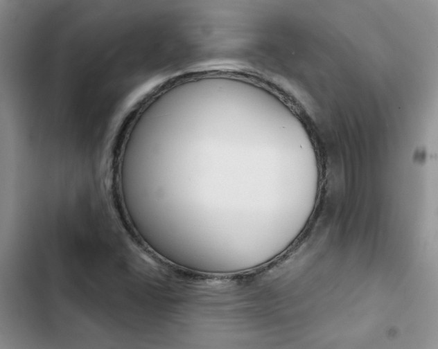 X0000102831406200808181038