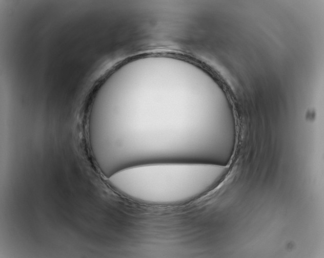 X0000102831407200808181038