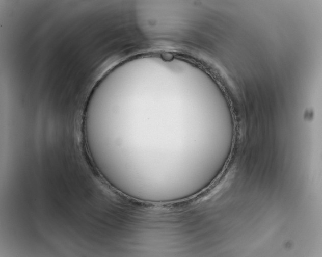X0000102831409200808181038