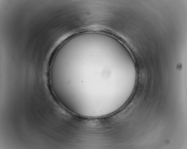 X0000102831410200808181038