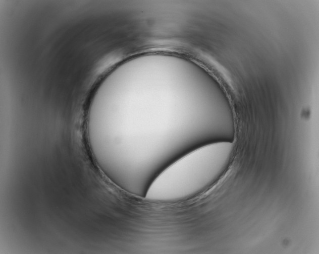 X0000102831411200808181038