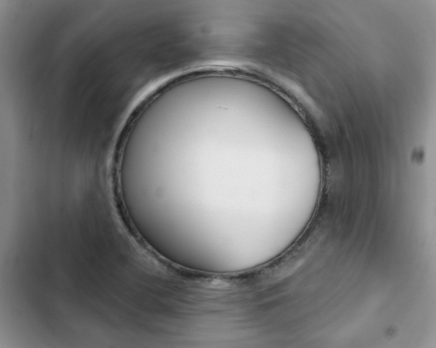 X0000102831412200808181038