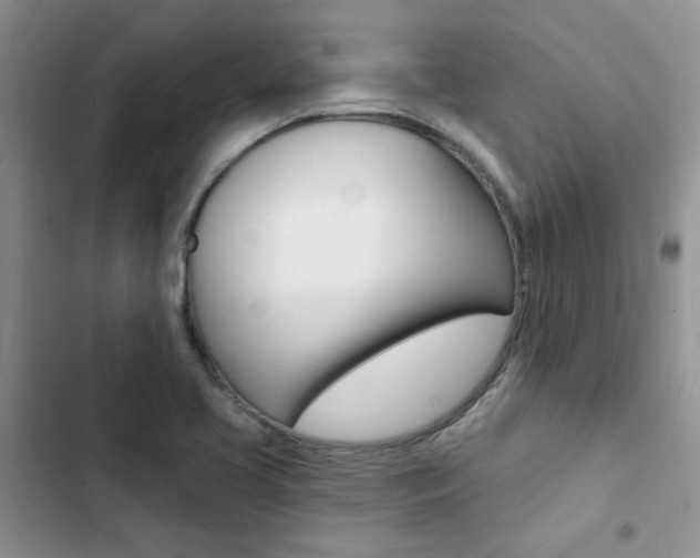 X0000102831413200808181038