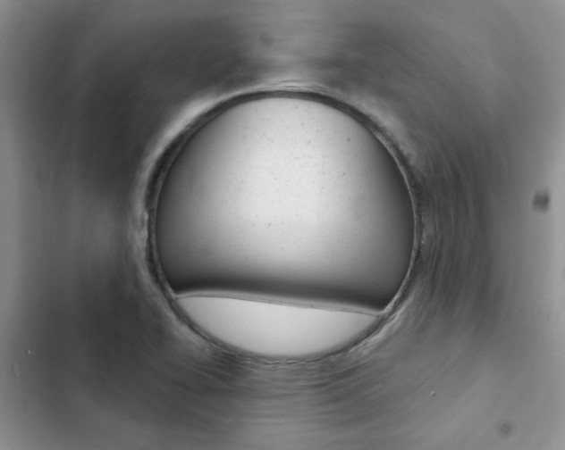 X0000102831414200808181038