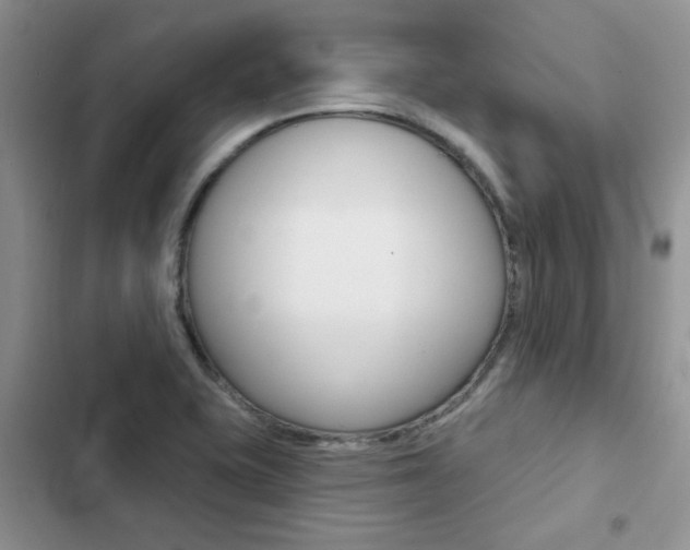X0000102831415200808181038