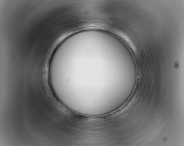X0000102831419200808181038