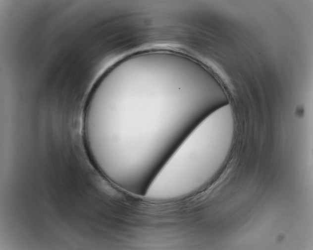 X0000102831420200808181038