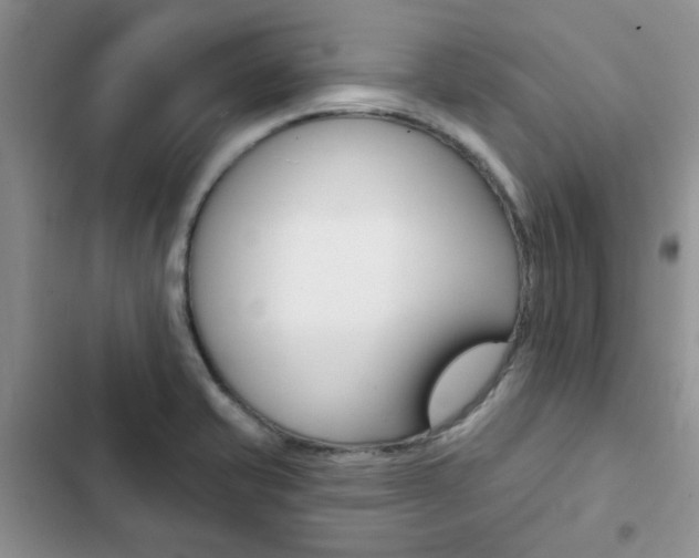 X0000102831421200808181038
