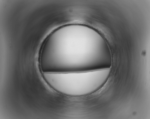 X0000102831422200808181038