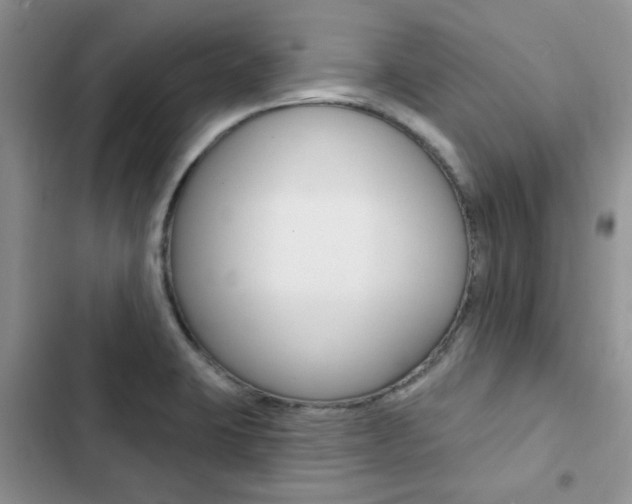 X0000102831423200808181038