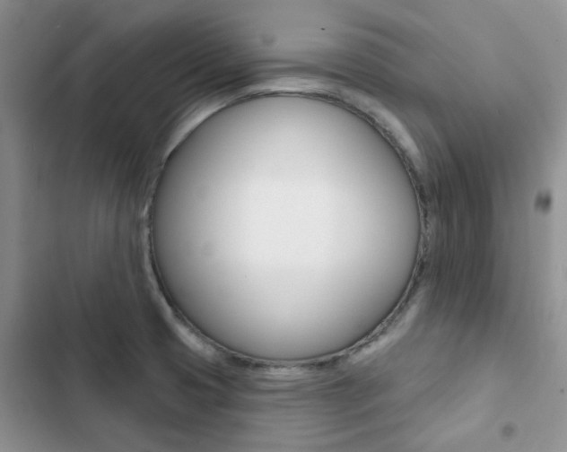 X0000102831425200808181038