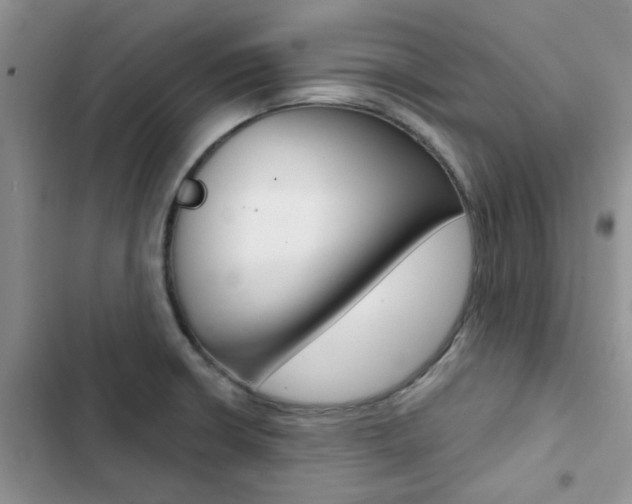 X0000102831426200808181038