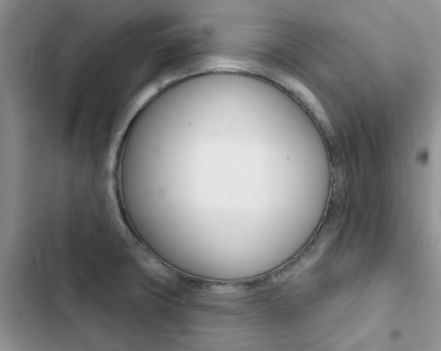 X0000102831427200808181038