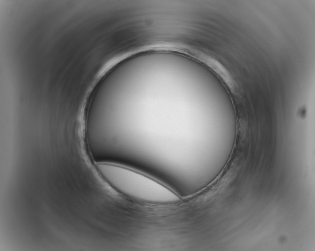 X0000102831428200808181038