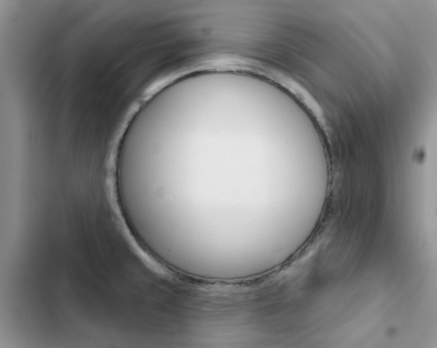 X0000102831429200808181038