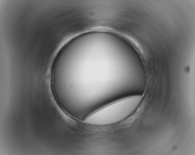 X0000102831430200808181039