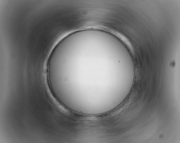 X0000102831431200808181039