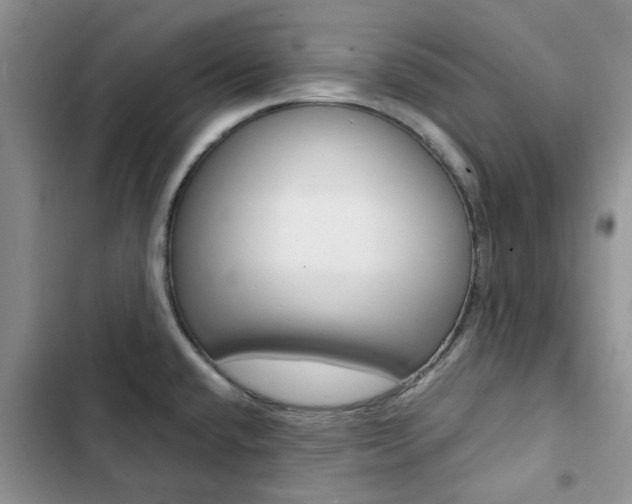 X0000102831432200808181039