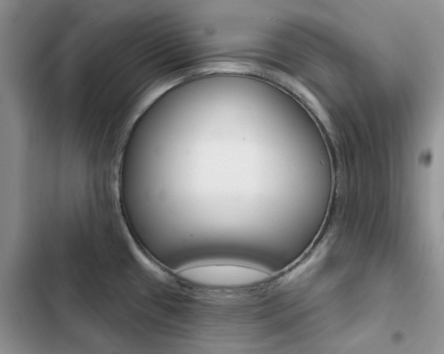 X0000102831433200808181039