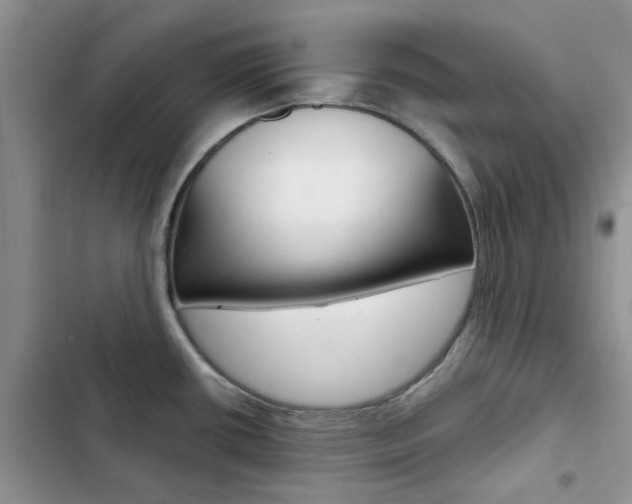 X0000102831434200808181039