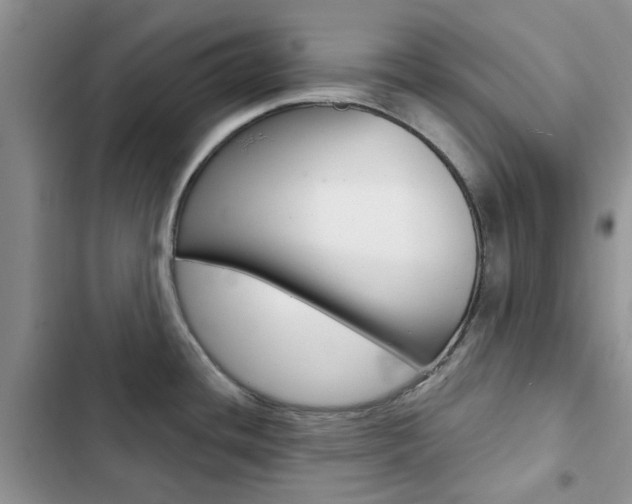 X0000102831436200808181039