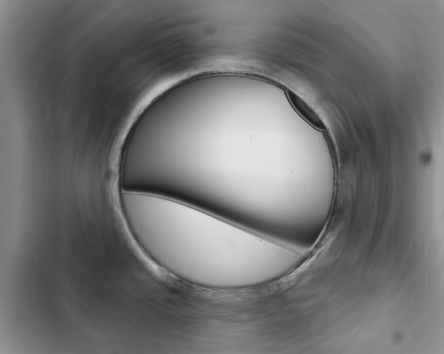 X0000102831437200808181039