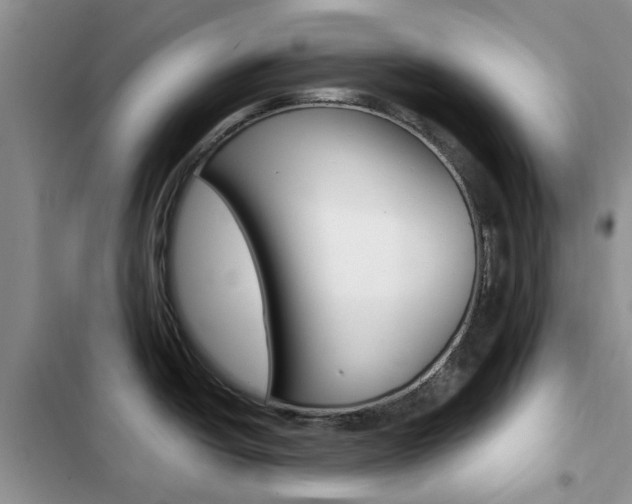 X0000102831438200808181039