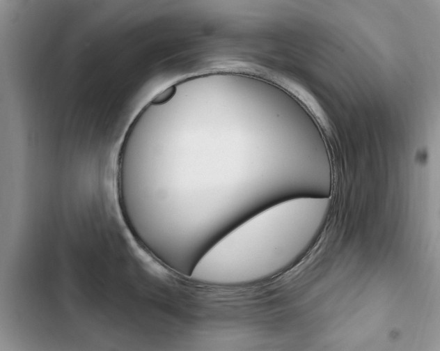 X0000102831439200808181039