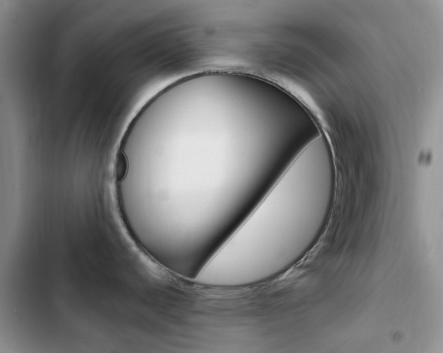 X0000102831440200808181039
