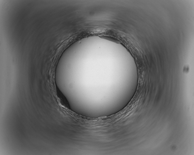 X0000102831441200808181038