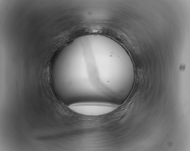 X0000102831442200808181038