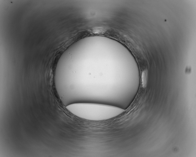 X0000102831443200808181038