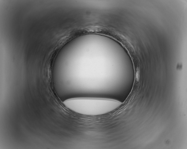 X0000102831444200808181038