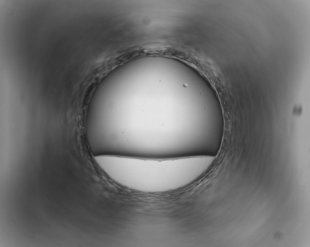 X0000102831445200808181038