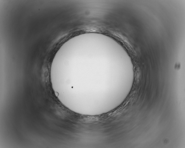 X0000102831446200808181038
