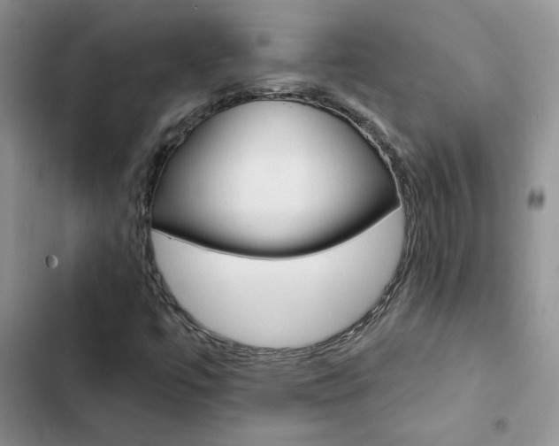 X0000102831447200808181038