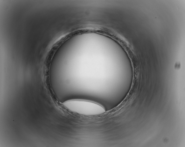X0000102831448200808181038