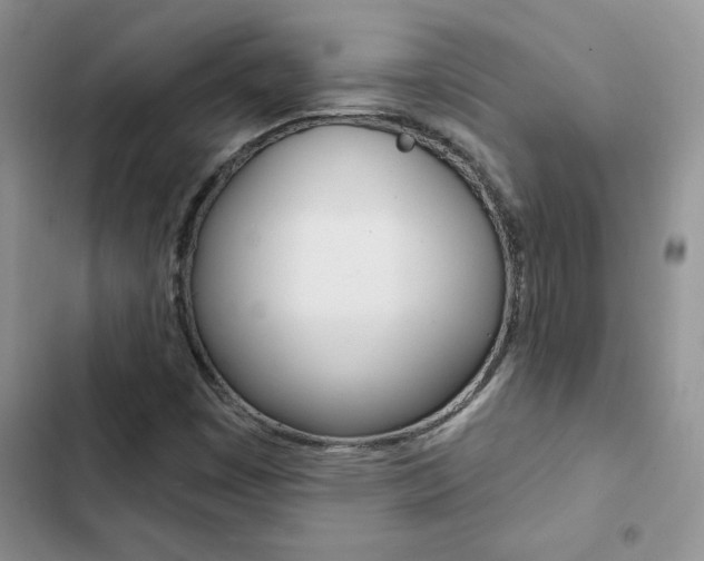 X0000102831449200808181038