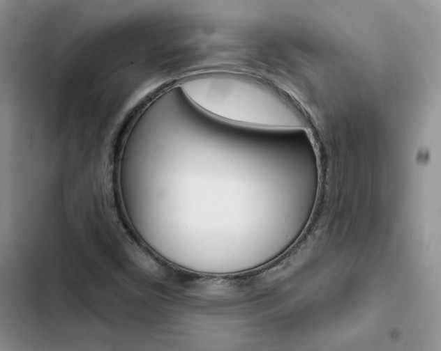 X0000102831450200808181038
