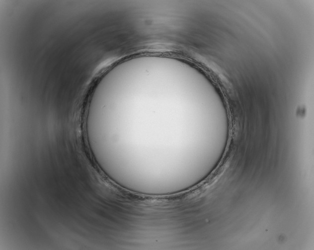 X0000102831451200808181038