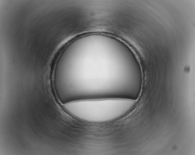 X0000102831452200808181038