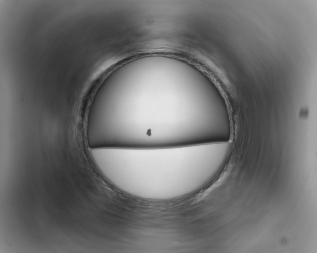 X0000102831453200808181038