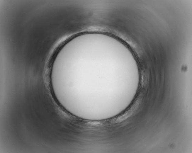 X0000102831454200808181038