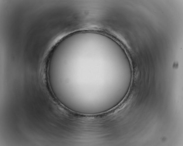 X0000102831455200808181038