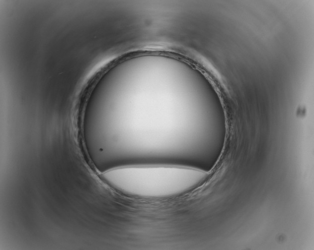 X0000102831456200808181038