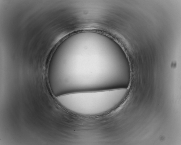 X0000102831457200808181038